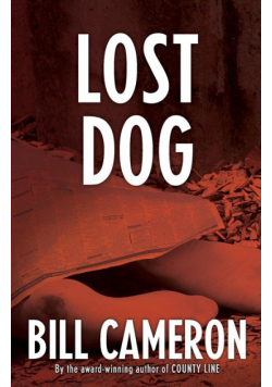 Lost Dog