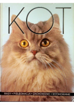 Kot