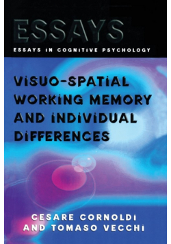 Visuo-spatial Working Memory and Individual Differences