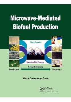 Microwave-Mediated Biofuel Production