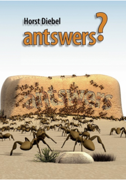 antswers