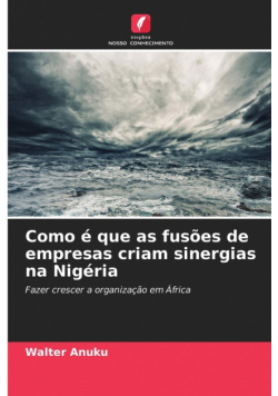 Como é que as fusões de empresas criam sinergias na Nigéria