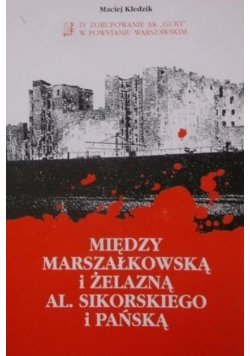 Między Marszałkowską i Żelazną Al Sikorskiego i Pańską