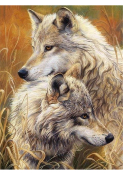 Malowanie po numerach - 40x50cm Wilki