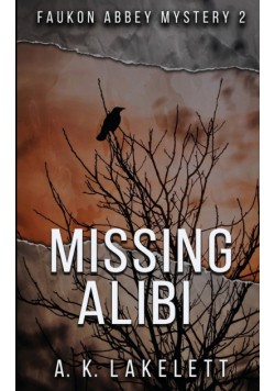 Missing Alibi