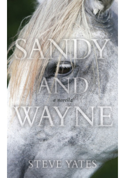Sandy and Wayne