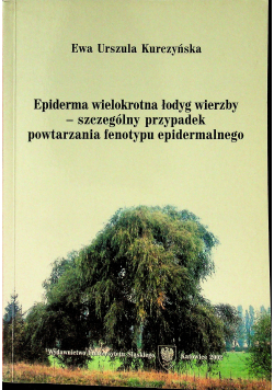 Epiderma wielokrotna łodyg wierzby
