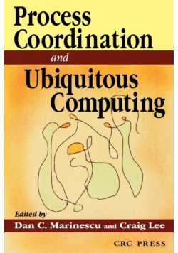 Internet Process Coordination