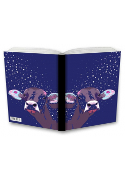 Notes Gee Milky Way kratka NARCISSUS