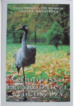 Środowisko przyrodnicze Bydgoszczy