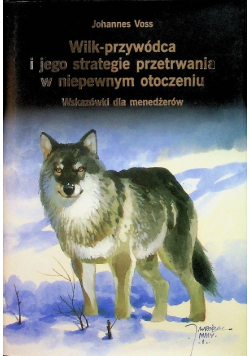 Wilk-przywódca i jego strategie przetrwania w niepewnym otoczeniu