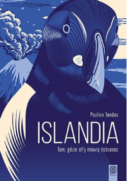 Islandia. Tam, gdzie elfy mówią dobranoc