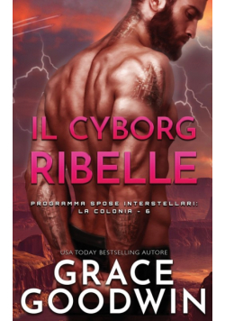 Il cyborg ribelle