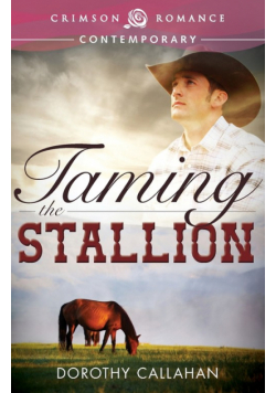 Taming the Stallion
