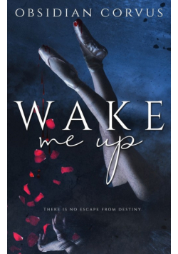 Wake Me Up