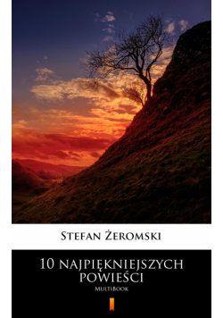 10 najpiękniejszych powieści. MultiBook