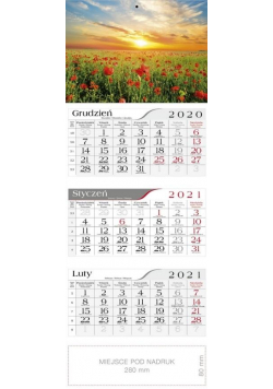 Kalendarz 2021 Trójdzielny Maki CRUX