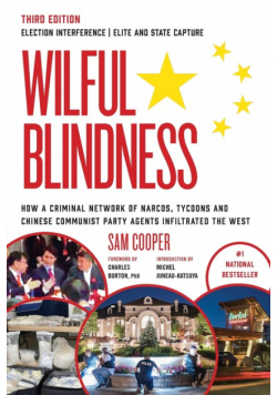 Wilful Blindness Election Interference | Elite and State Capture
