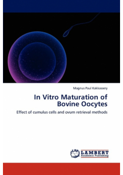 In Vitro Maturation of Bovine Oocytes