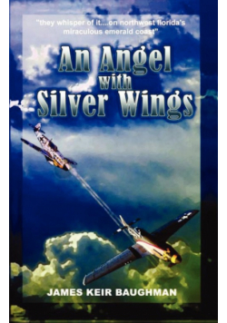 An Angel With Silver Wings