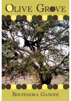 Olive Grove