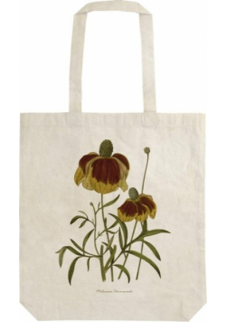 Torba bawełniana STBAG 70 Rudbekia Szoperka