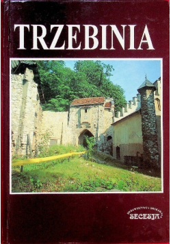 Trzebinia zarys dziejów miasta i regionu