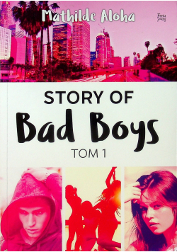 Story of Bad Boys Tom 1