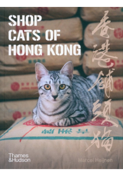 Shop Cats of Hong Kong