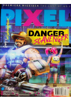 Pixel Nr 61 / 20