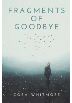 Fragments of Goodbye