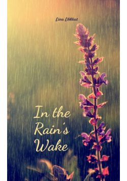 In the Rain's Wake