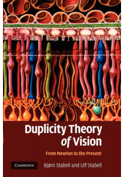 Duplicity Theory of Vision