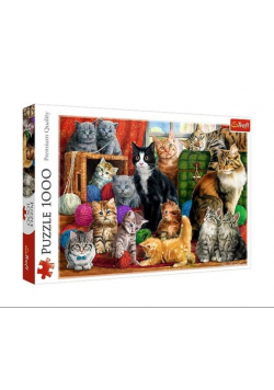Puzzle  Kocie spotkanie