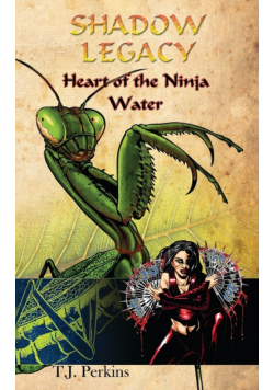 Heart of the Ninja - Water