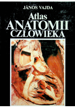 Atlas anatomii człowieka I