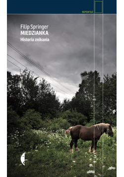 Miedzianka historia znikania