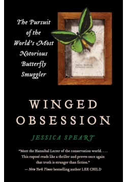 Winged Obsession