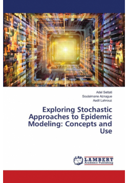 Exploring Stochastic Approaches to Epidemic Modeling