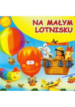 Na małym lotnisku