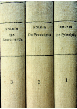 Summa Theologiae moralis 3 tomy