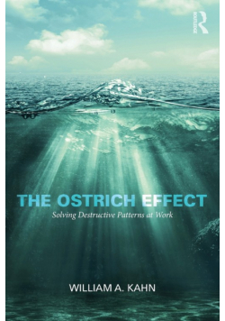 The Ostrich Effect