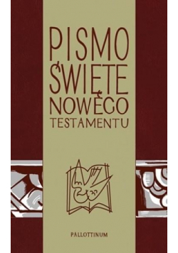 Pismo Świete - NT z ilustracjami
