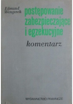 Postępowanie zabezpieczające i egzekucyjne
