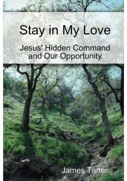 Stay in My Love