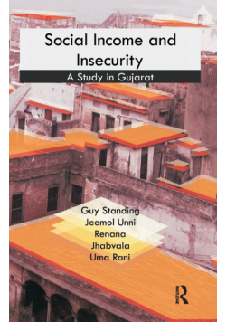 Social Income and Insecurity