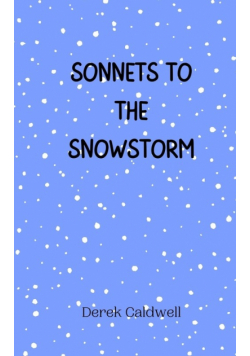 Sonnets to the Snowstorm
