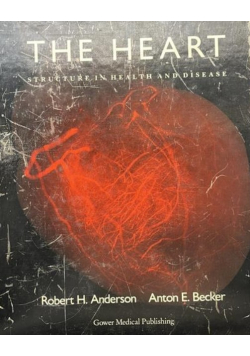The heart