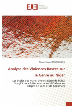 Analyse des Violences Basées sur le Genre au Niger