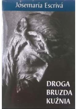 Droga Bruzda Kuźnia